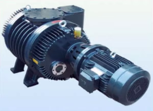 Насос типа рутс установки вакуумного напыления HCMS+CA-650