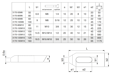 M-3170-100M10 Прихват скошенный регулируемый